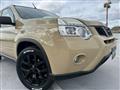 2013 Nissan X-Trail