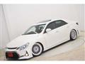 2011 Toyota Mark X
