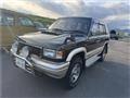 1994 Isuzu Bighorn