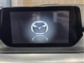 2015 Mazda Atenza Wagon