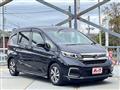 2019 Honda Freed