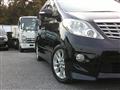 2010 Toyota Alphard