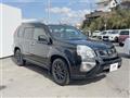 2013 Nissan X-Trail