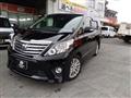 2013 Toyota Alphard