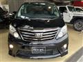 2013 Toyota Alphard