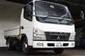 2010 Mitsubishi Fuso Canter Guts