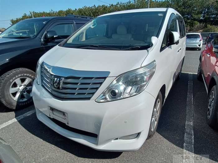 2010 Toyota Alphard