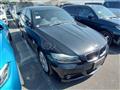 2009 BMW 3 Series