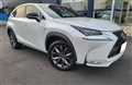 2015 Lexus NX
