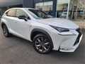 2015 Lexus NX