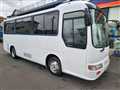 2005 Hino S'elega R