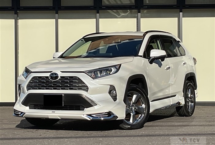 2019 Toyota RAV4