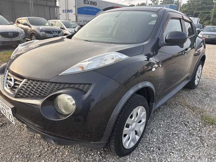 2010 Nissan Juke