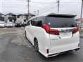 2020 Toyota Alphard