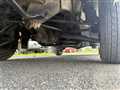 1996 Suzuki Carry Truck