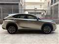 2017 Lexus NX