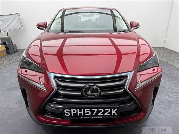 2016 Lexus NX