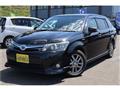 2013 Toyota Corolla Fielder