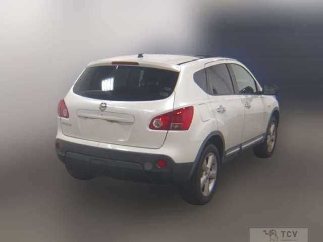 2010 Nissan Dualis