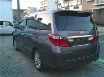 2010 Toyota Alphard