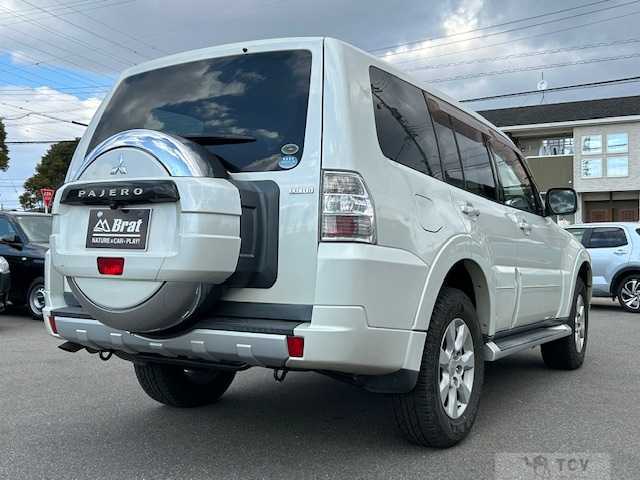 2010 Mitsubishi Pajero
