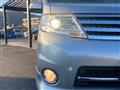 2010 Nissan Serena