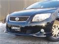 2011 Toyota Corolla Fielder
