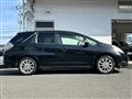 2011 Honda Fit shuttle