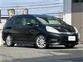 2011 Honda Fit shuttle