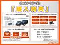 2011 Nissan Elgrand