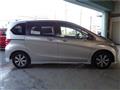 2010 Honda Freed