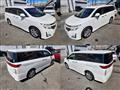 2011 Nissan Elgrand