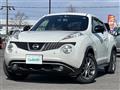 2013 Nissan Juke
