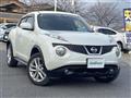 2010 Nissan Juke