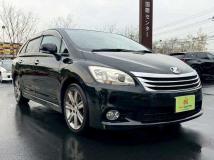 2009 Toyota Mark X Zio