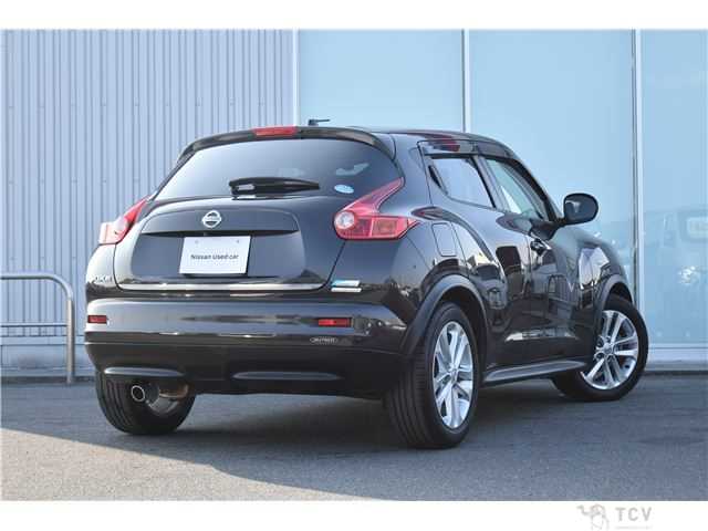 2011 Nissan Juke