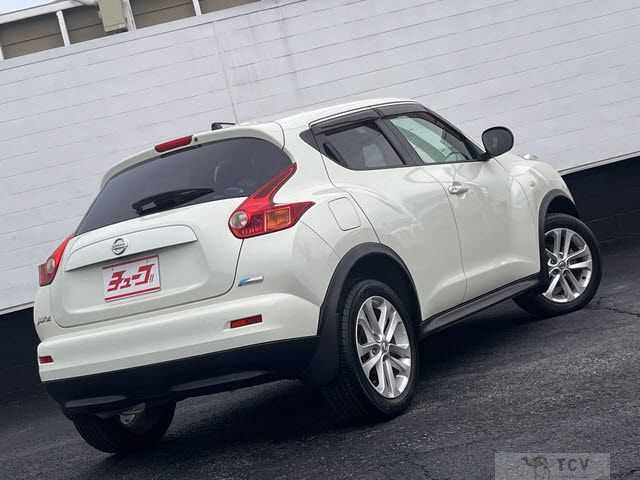 2010 Nissan Juke