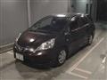 2011 Honda Fit shuttle