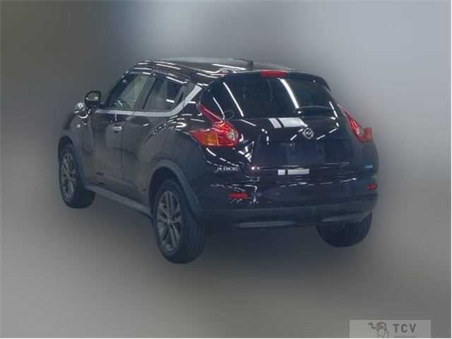 2014 Nissan Juke