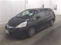 2011 Honda Fit shuttle