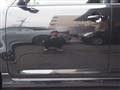 2007 Toyota Corolla Rumion