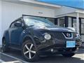 2011 Nissan Juke