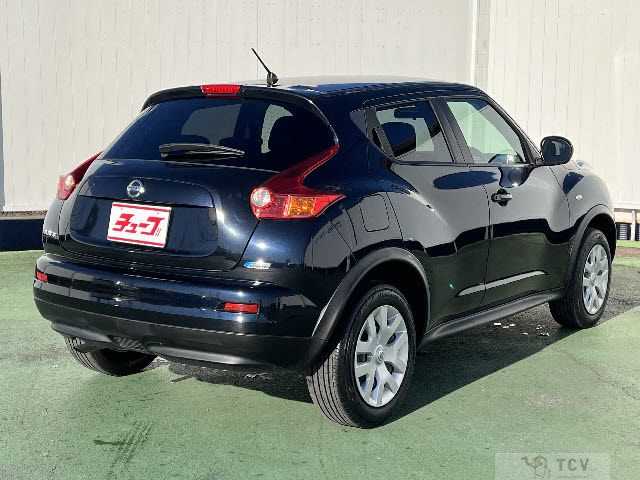 2010 Nissan Juke