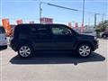 2010 Honda Crossroad