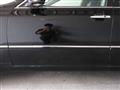 2006 Toyota Crown