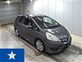 2013 Honda Fit shuttle