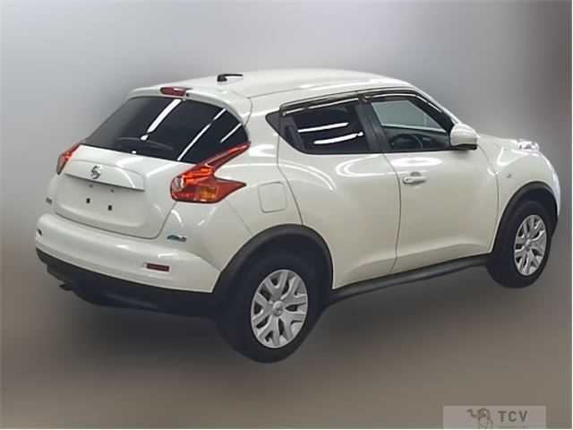 2010 Nissan Juke