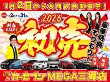 2009 Toyota Mark X