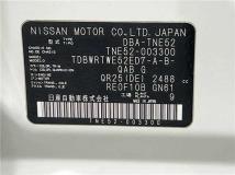 2011 Nissan Elgrand