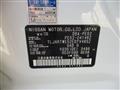 2013 Nissan Elgrand